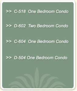 Kihei Condos In South Maui